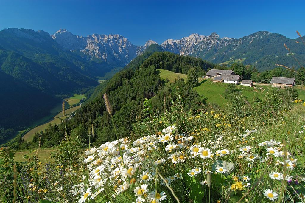 Farmhouse Stiftar Solčava Екстериор снимка